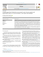 IDCASES-DR-DESALEGN .pdf